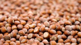 Ferrero Grubundan hedeflerine ulaşma noktasında önemli ilerleme