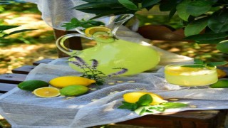 Fıstıklı limonata Alanyanın tescilli lezzeti oldu