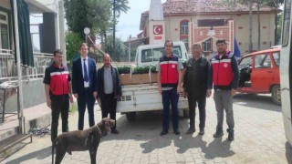 Gedizde üreticilere yüzde 50 hibeli 26 bin 780 kök biber ve domates fidesi