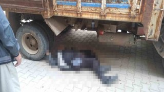 Gedizde yaşlı adam kamyonetin altında kaldı
