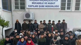 Göçmen kaçakçısı 7 organizatör yakalandı