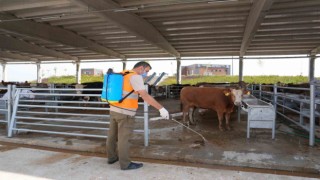 Gölbaşı Belediyesinden kurban satış ve kesim merkezlerinde ilaçlama