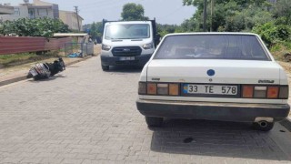 Gözüne arı çarpan motosiklet sürücüsü hastanelik oldu
