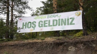 Gümüşhanede ‘Orman Benim etkinliğinde ormanda temizlik