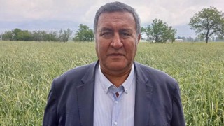 Gürer: “Buğday Taban Fiyatı 15 Bin TL/Ton Olmalı”