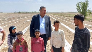 Gürer: “Çocuklar Tarlada Değil, Okulda Olmalı”