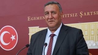 Gürer: “Sokak Hayvanlarının Doğması Engellenmeli”