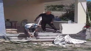 Havalar ısındı, yılanlar evlere girmeye başladı