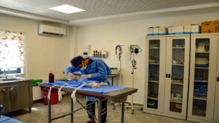 Hayvan Bakımevi ve Rehabilitasyon Merkezi bin 116 ihbara müdahale etti