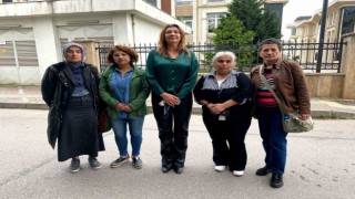 Hayvan koruma dernekleri: Vali Yavuzun açıkladığı maddelerden biri cımbızla alınarak infial oluşturuldu