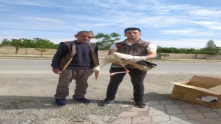 Iğdırda yorgun düşen leylek bakıma alındı