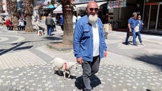 İki aylık kuzusu peşinden hiç ayrılmıyor
