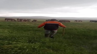 İneğe yıldırım çarptı, diğerleri başında toplandı