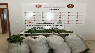 İran uyruklu 1 kişiye biyoçeşitliliği tahripten toplam 387 bin 141 lira ceza verildi