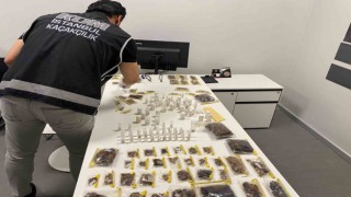 İstanbul Havalimanında kaçakçılık operasyonu: ABDli müze müdürü tarantula ve akrep kaçakçılığı yaparken yakalandı