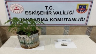 Jandarma ekiplerinin 9 farklı uyuşturucu operasyonunda 20 şüpheli yakalandı