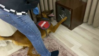 Jandarmadan 1 milyonluk uyuşturucu operasyonu