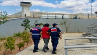 Jandarmadan kaçak kazı baskını