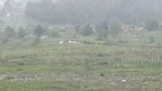 Karabükün yüksek kesimlerinde kar yağışı etkili oldu