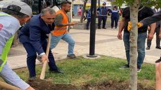 Karaoğlanoğlu Parkı'na Yeni Ağaçlar Dikildi