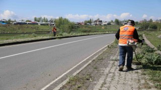 Karsta kaldırımlar yabani otlardan temizleniyor