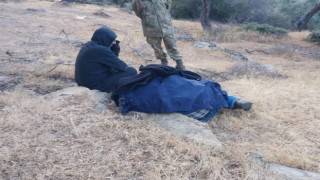 Kayıp koyunlarını aramak için gitti, cansız bedeni bulundu