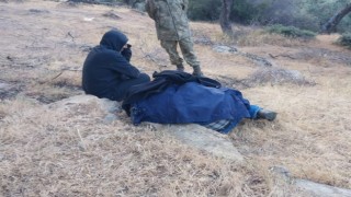 Kayıp koyunlarını aramak için gitti, cansız bedeni bulundu