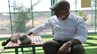 Kayseride ilk olan Küçük Dostlar Kedi Kasabasına bir yılda rekor ziyaret
