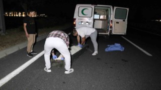 Kazada ölen yaşlı adamın kimliği belli oldu