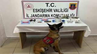 Kenevir yetiştirip uyuşturucu satan şahıslar jandarma tarafından yakalandı