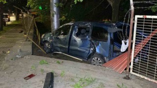 Kocaelide hafif ticari araç ağaca çarptı: 1 yaralı