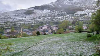 Kop Dağında kar yağışı ve sis etkili oldu