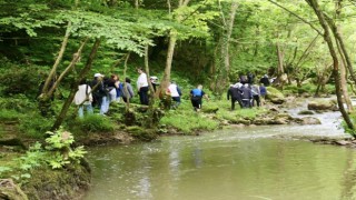 Körfezin doğal güzelliklerinde trekking keyfi