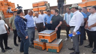 Kozlukta arıcılara organik kovan dağıtımı yapıldı