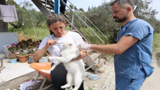 Kuduzdan korunmanın yolu aşı yaptırmak