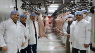 Kurban bayramı öncesi mezbahalar denetleniyor