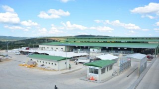 Kurban satışı için modern hayvan pazarına ön kayıtlar başladı