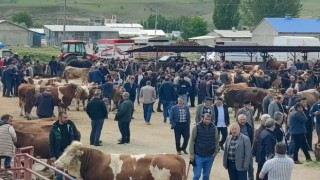 Kurbanlıklar görücüye çıktı