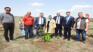 Kütahyada Aile Haftasında Aile Ormanı tesis edildi