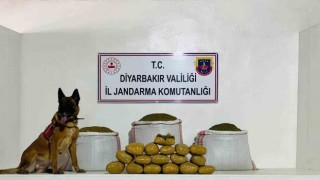 Licede 76 kilo toz esrar ele geçirildi