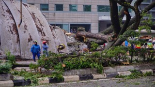 Malezyada ağaç devrildi: 1 kişi öldü, 17 araçta hasar oluştu