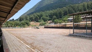 Manisa Canlı Hayvan Borsası 2024 Kurban Bayramına hazır