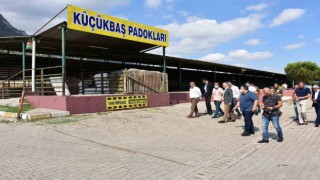 Manisanın en büyük ilçesinde kurban pazarı olmayacak