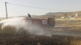 Mardinde ormanlık alanda çıkan yangın söndürüldü