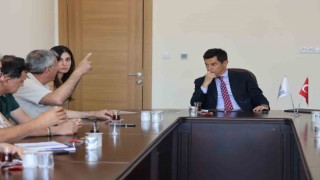 Marmariste yaban domuzları için çözüm yolları aranıyor