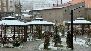 Türkiye'de mevsimler karıştı: Van'de gece kar sürprizi