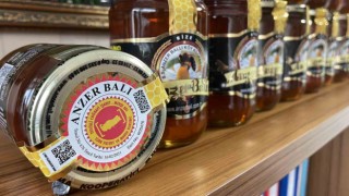 Mayıs karı Anzer Balının üretimine yarayacak