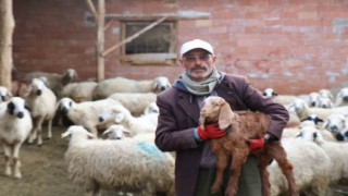 Meşhur muhtar dolandırıldı, derdini şiirle anlattı
