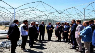 Meyve ve sebze sektöründe Samsun ve İzmir iş birliği