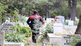 Mezarlıktaki bebek ağlama sesi ihbarı polisi harekete geçirdi